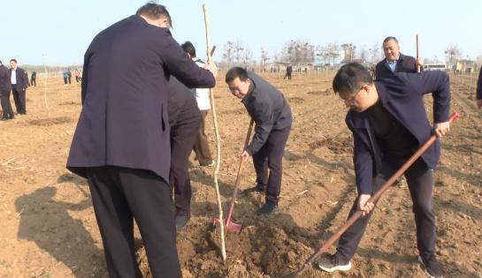 鄢陵县开展2026年春季义务植树活动