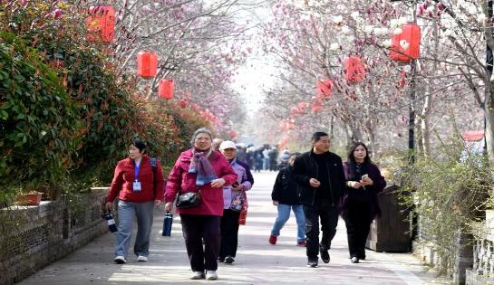 鄢陵县启动花海春日游