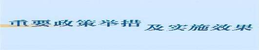 重要政策举措及实施效果